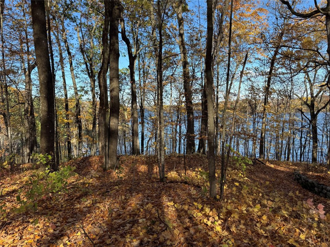 XXX County Hwy MD, Sarona WI 54870 - Land house for sale - MLS #1605948 - image23