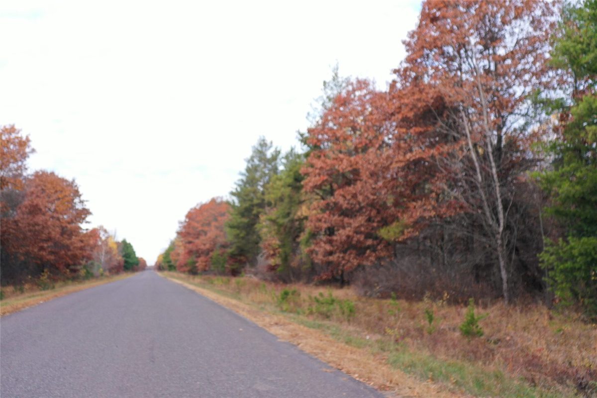 Lot 1 Spaulding Road, Grantsburg WI 54840 - Land house for sale - MLS #1606124 - image8