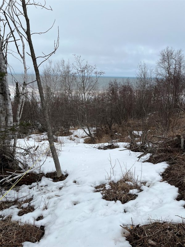10427 Devries Road, Poplar WI 54864 - Land house for sale - MLS #1599941 - image16