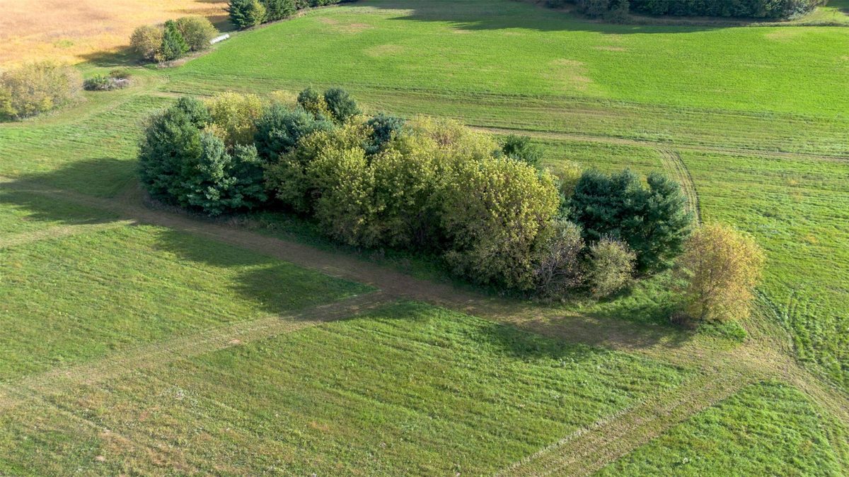 XXX 420th Avenue, Menomonie WI 54751 - Land house for sale - MLS #1605466 - image9