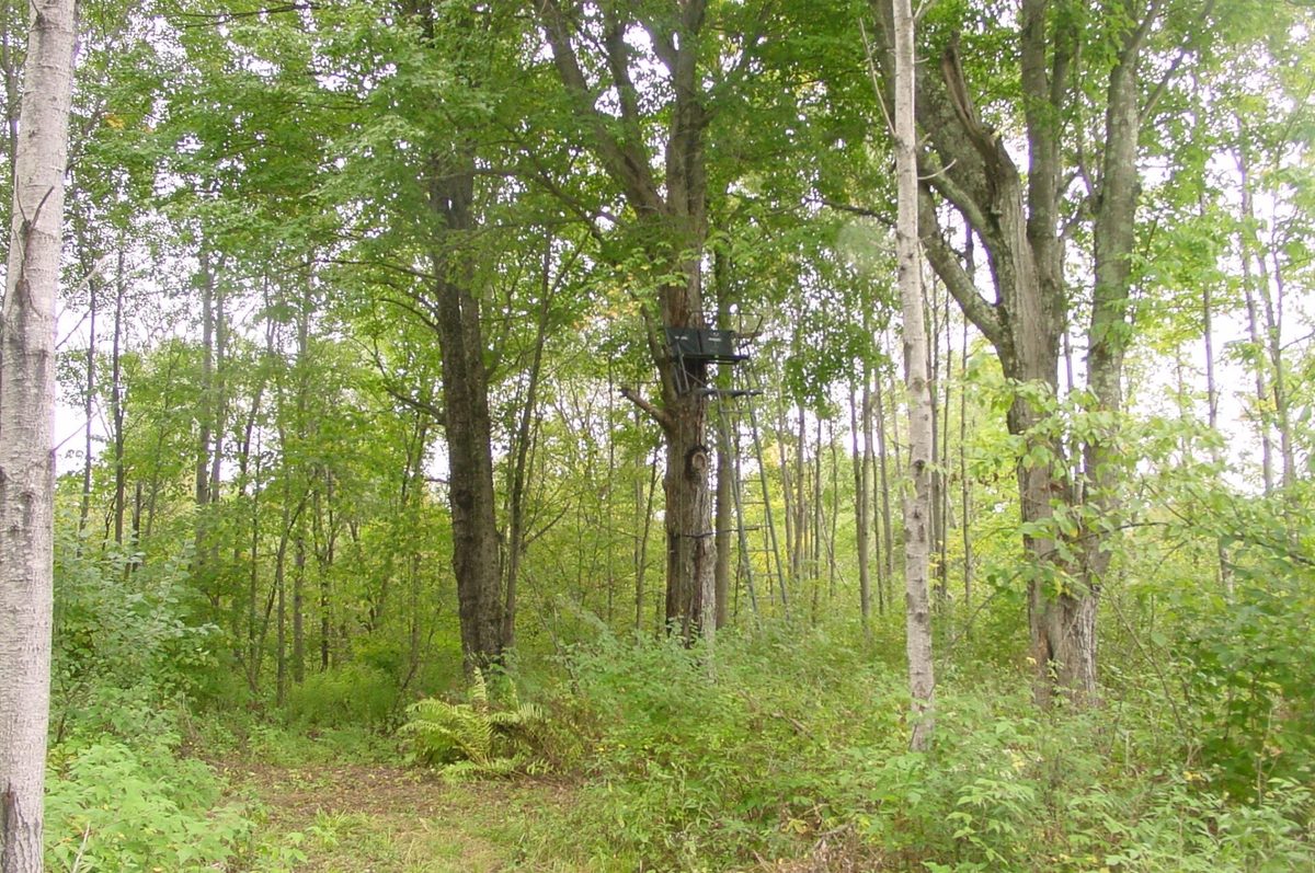 N5391 Hwy. 73, Ingram WI 54526 - Residential house for sale - MLS #1604886 - image39