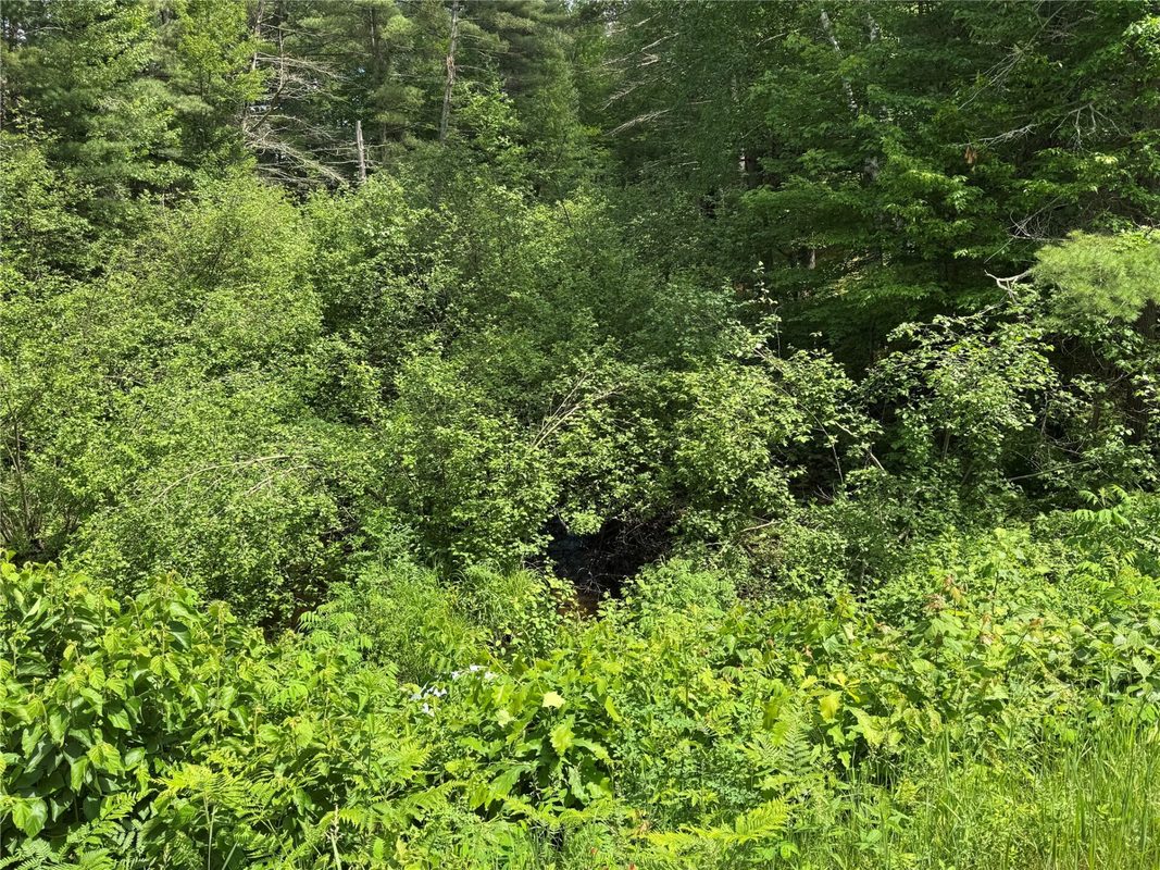 N 6398 Fred Tripp Road, Springbrook WI 54875 - Land house for sale - MLS #1602077 - image4