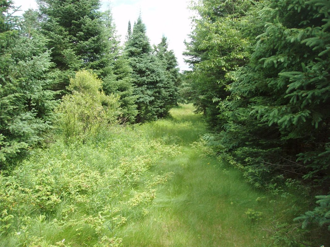 N16798 Bass Lake Road, Butternut WI 54514 - Residential house for sale - MLS #1603059 - image32