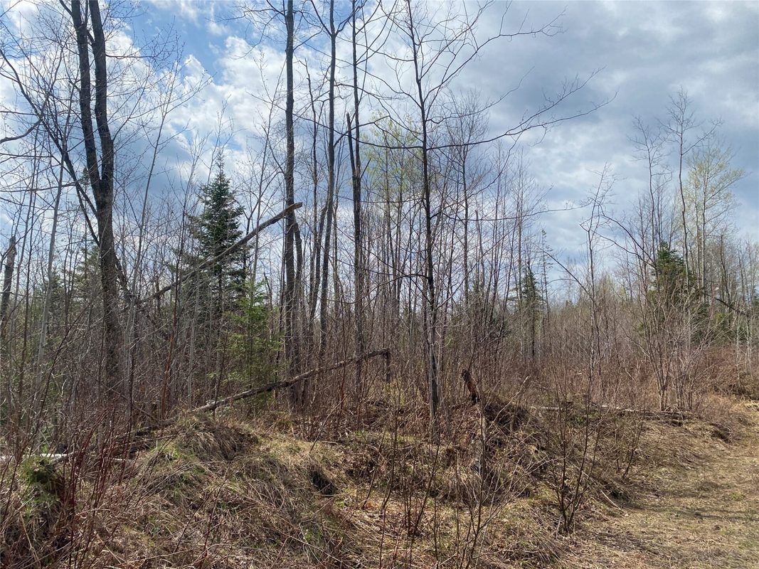 Near Wilson Lake Road Phillips WI 54555 — photo 5
