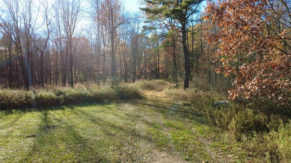 208220 Kane Lane Mosinee WI 54455