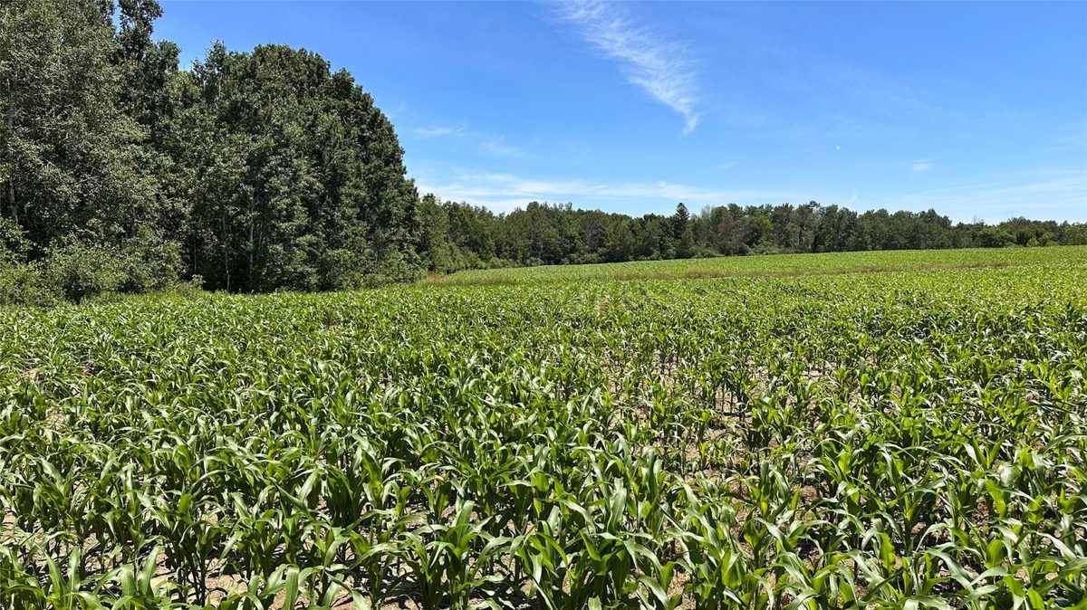 XX County Road BB, Baldwin WI 54002 - Land house for sale - MLS #1602567 - image29