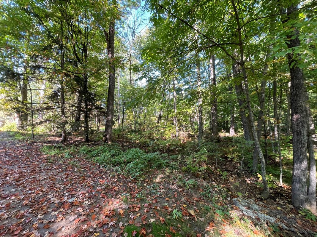 6073 Elsie Road, Stone Lake WI 54876 - Land house for sale - MLS #1602616 - image10