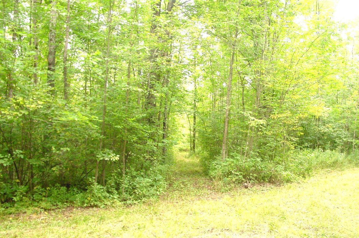 N5391 Hwy. 73, Ingram WI 54526 - Residential house for sale - MLS #1604886 - image19