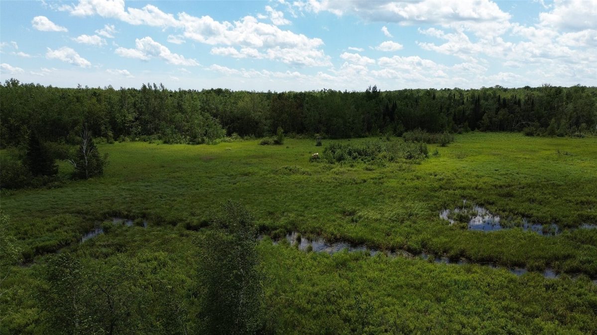 W11199 Edgewood Avenue, Bruce WI 54848 - Land house for sale - MLS #1605749 - image11