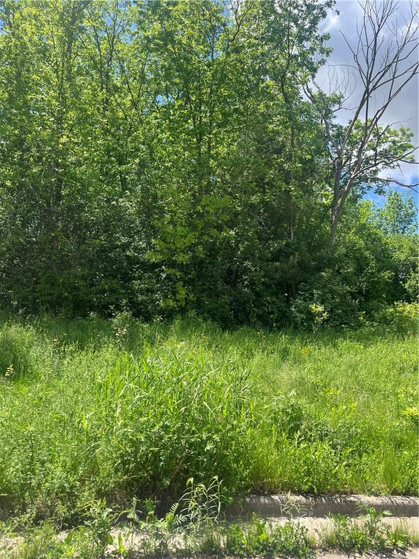 950 Emerald Court, Rice Lake, WI — photo 7