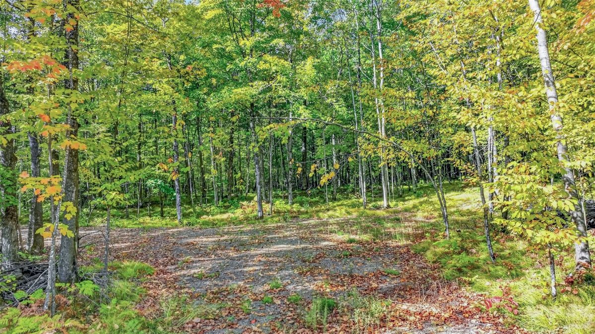 8087N Universal Drive, Winter WI 54896 - Land house for sale - MLS #1605404 - image3