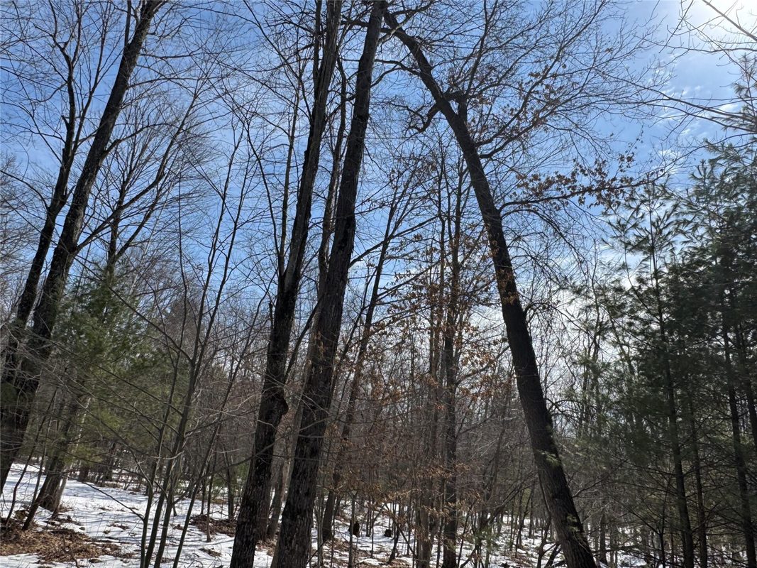 Land at OOO LAKE RD, Clintonville, WI 54929 — photo 12