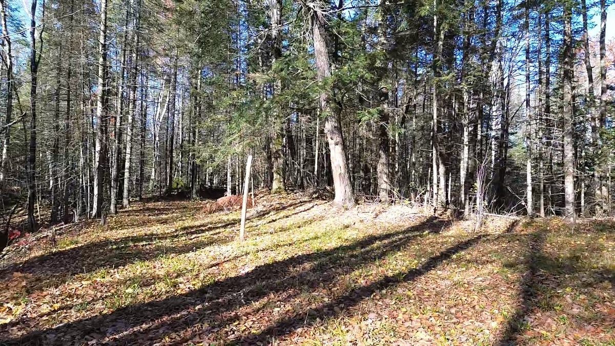 4800 43 Road, Solon Springs WI 54783 - Land house for sale - MLS #1606105 - image7