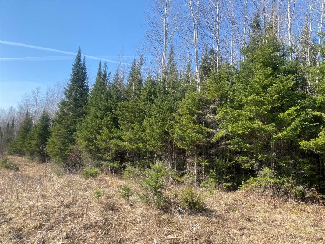 ON CTH F Park Falls WI 54552 — photo 5
