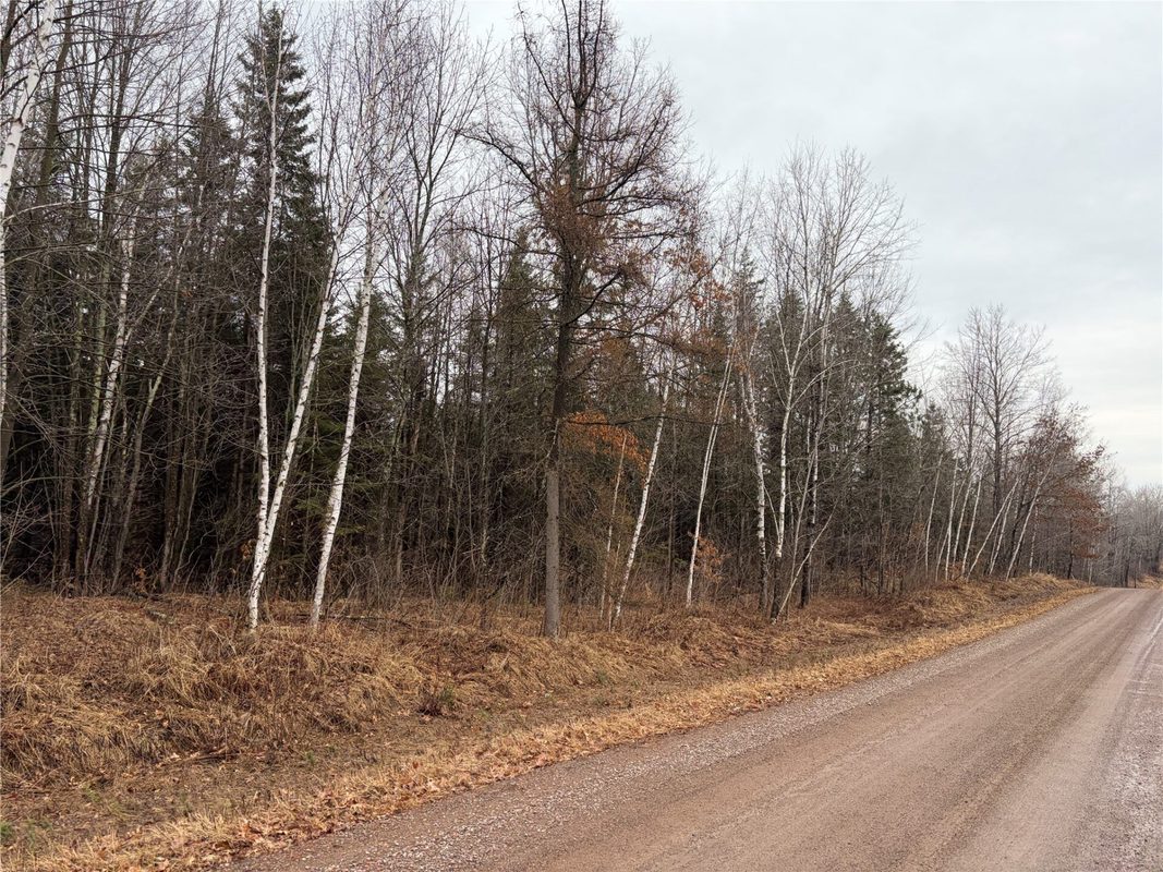 ON Sheep Camp Road, Ladysmith WI 54848 - Land house for sale - MLS #1599295 - image3
