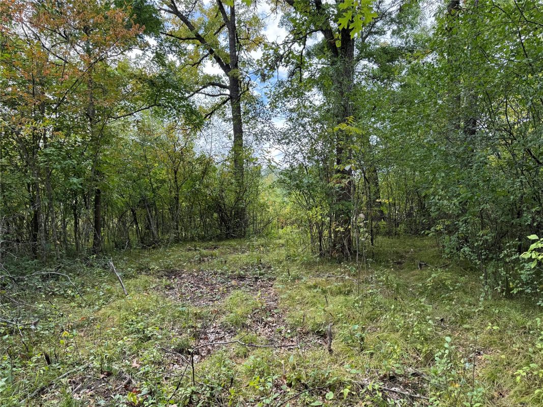 XXX 23 1/2 Street, Rice Lake WI 54868 - Land house for sale - MLS #1605312 - image14