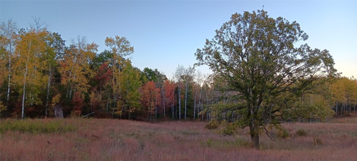 11116 Blackberry Road, Trego WI 54888 - Land house for sale - MLS #1601881 - image28