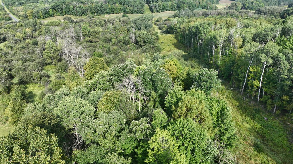 XX County Rd O, Boyceville WI 54725 - Land house for sale - MLS #1604881 - image23