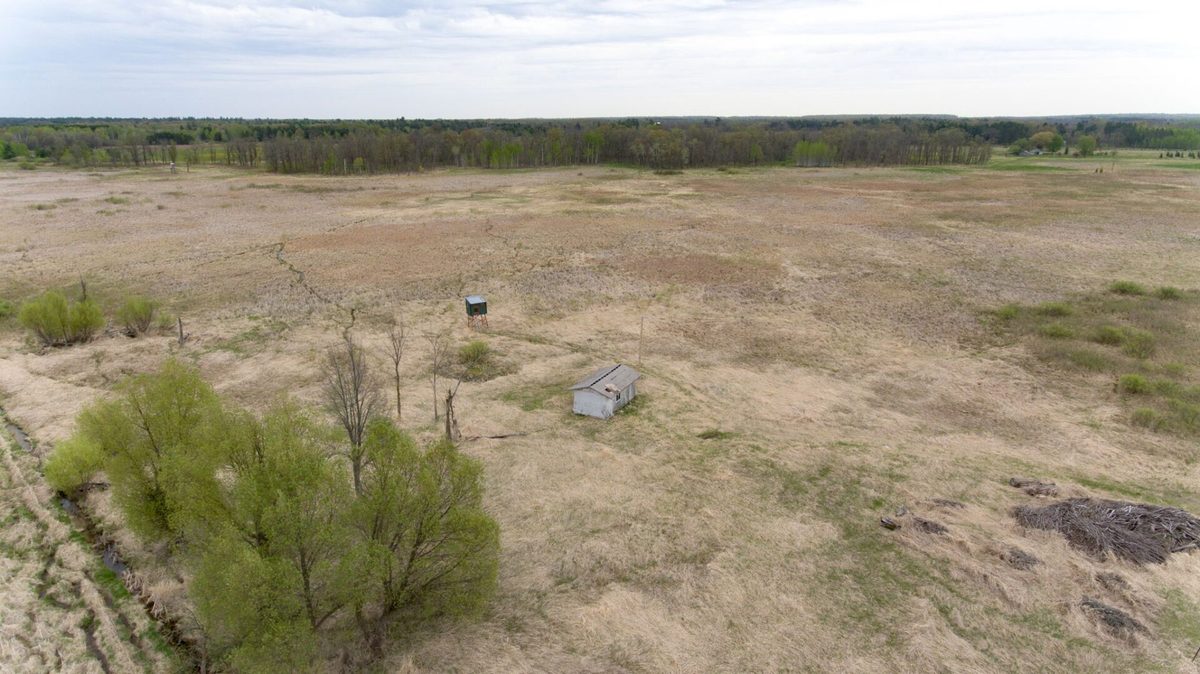 XXX Hegge Road, Wood River WI 54840 - Land house for sale - MLS #1601236 - image6
