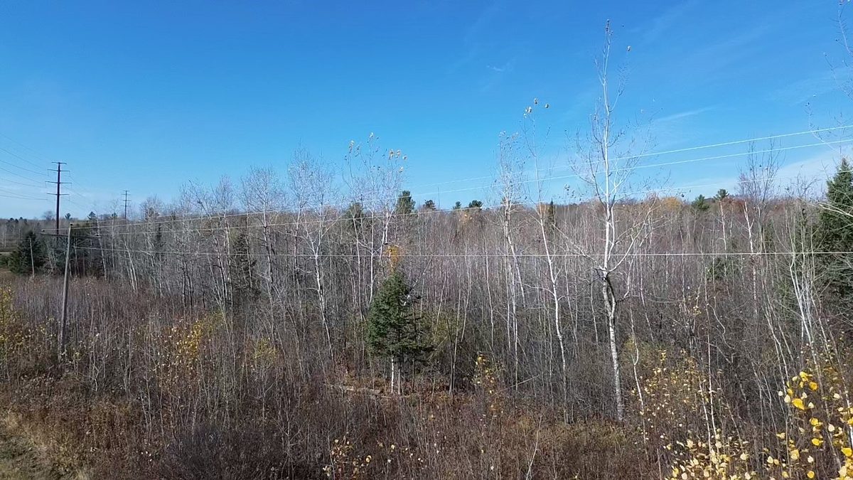 123XX W Jos R Chafer Road, Couderay WI 54828 - Land house for sale - MLS #1606292 - image7