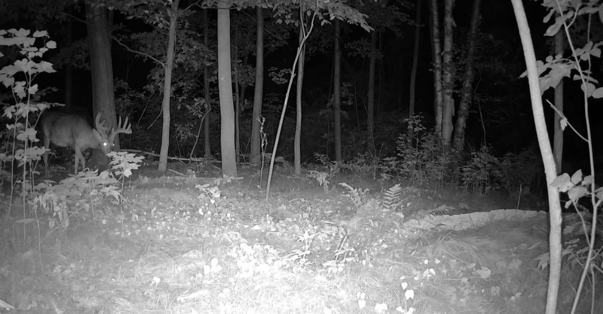 00 26 1/2 Avenue, Cumberland WI 54829 - Land house for sale - MLS #1603398 - image10