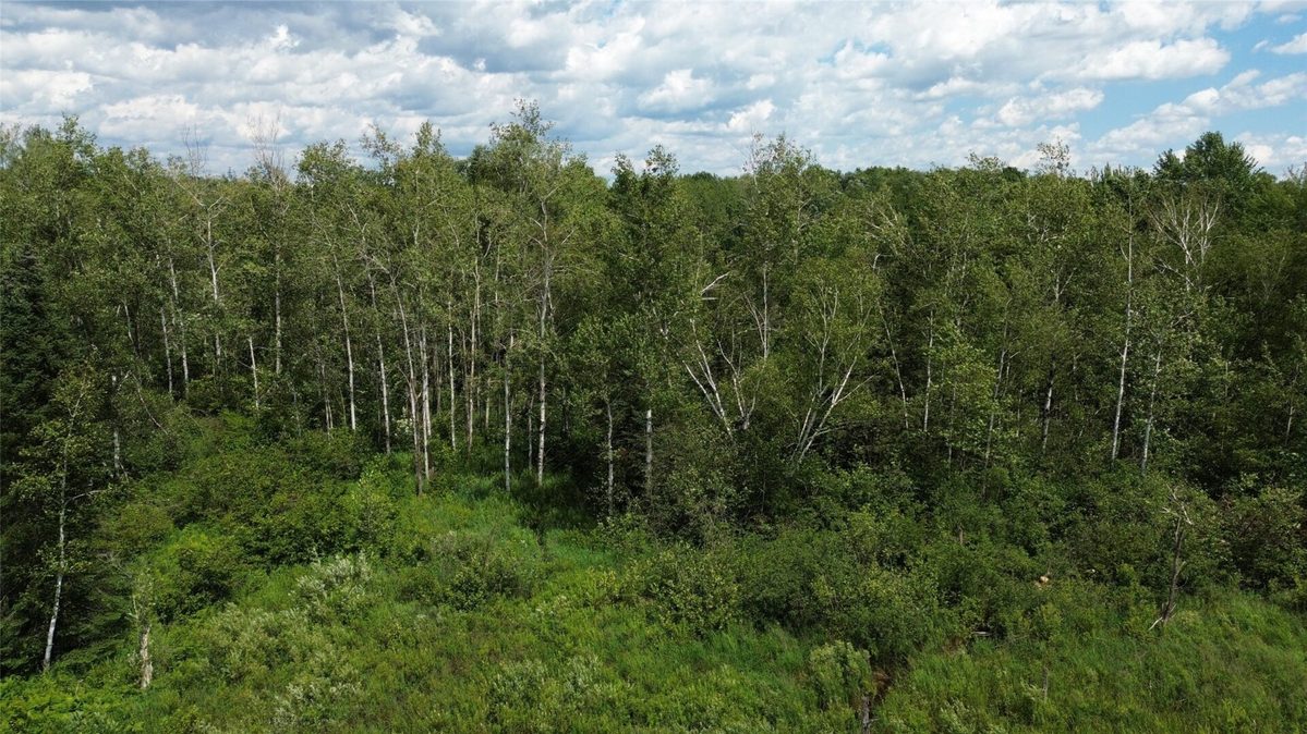 W11199 Edgewood Avenue, Bruce WI 54848 - Land house for sale - MLS #1605749 - image14