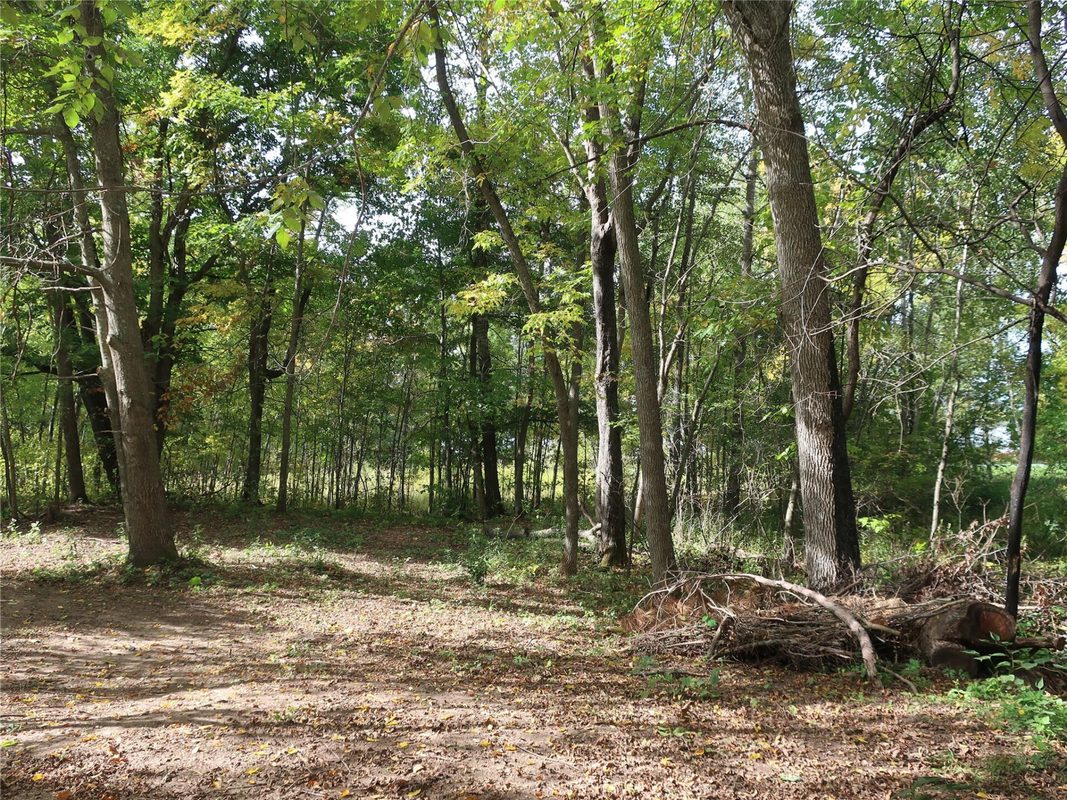 TBD Old 35, Siren WI 54872 - Land house for sale - MLS #1605520 - image5