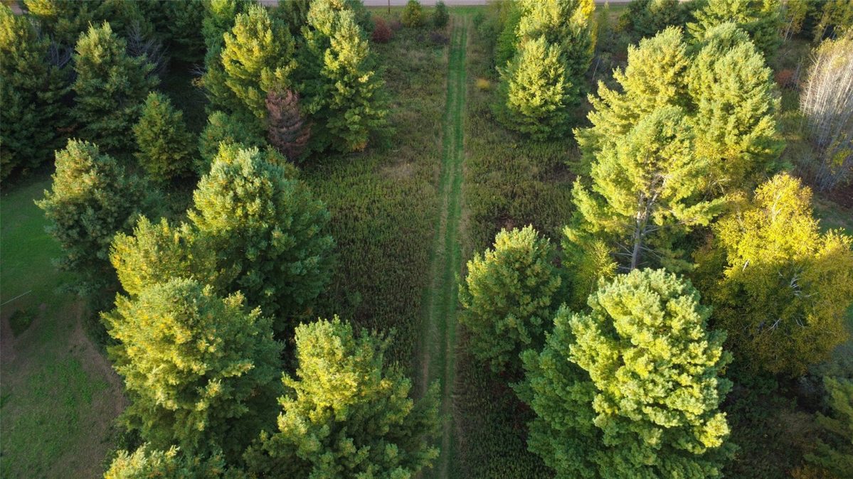 965 340th Avenue, Frederic WI 54837 - Land house for sale - MLS #1605722 - image23