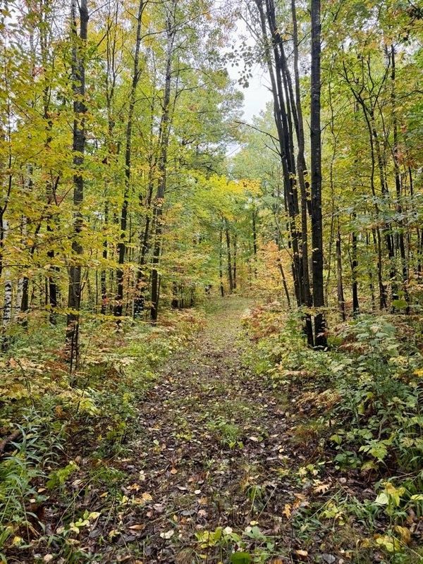 00 10 1/2-28 1/2, Barronett WI 54813 - Land house for sale - MLS #1604830 - image11