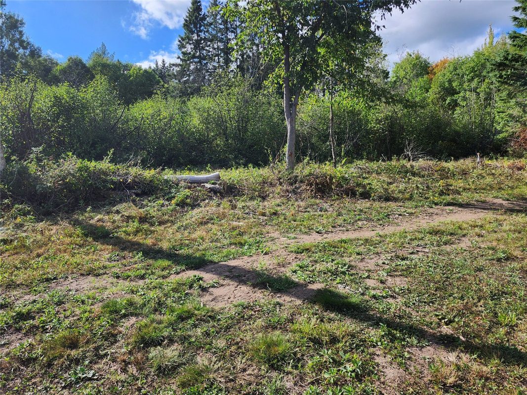 7821W Koeppler Road, Ojibwa WI 54862 - Land house for sale - MLS #1604981 - image17