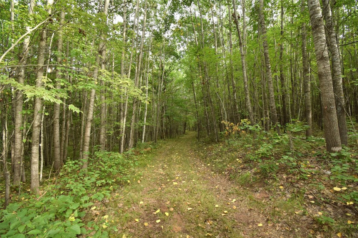 28206 Pardun Road, Danbury WI 54830 - Land house for sale - MLS #1604938 - image18