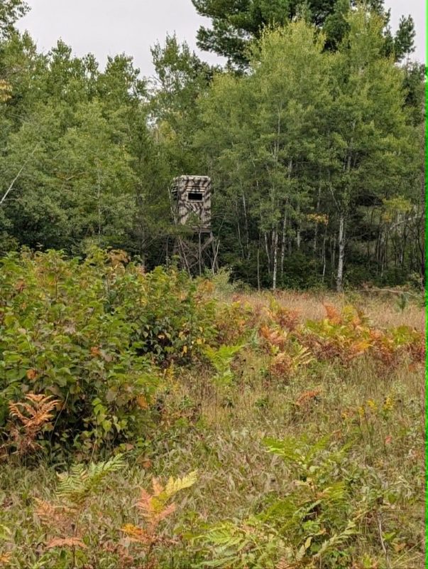 10501 County Hwy M Highway, Springbrook WI 54875 - Land house for sale - MLS #1604696 - image26
