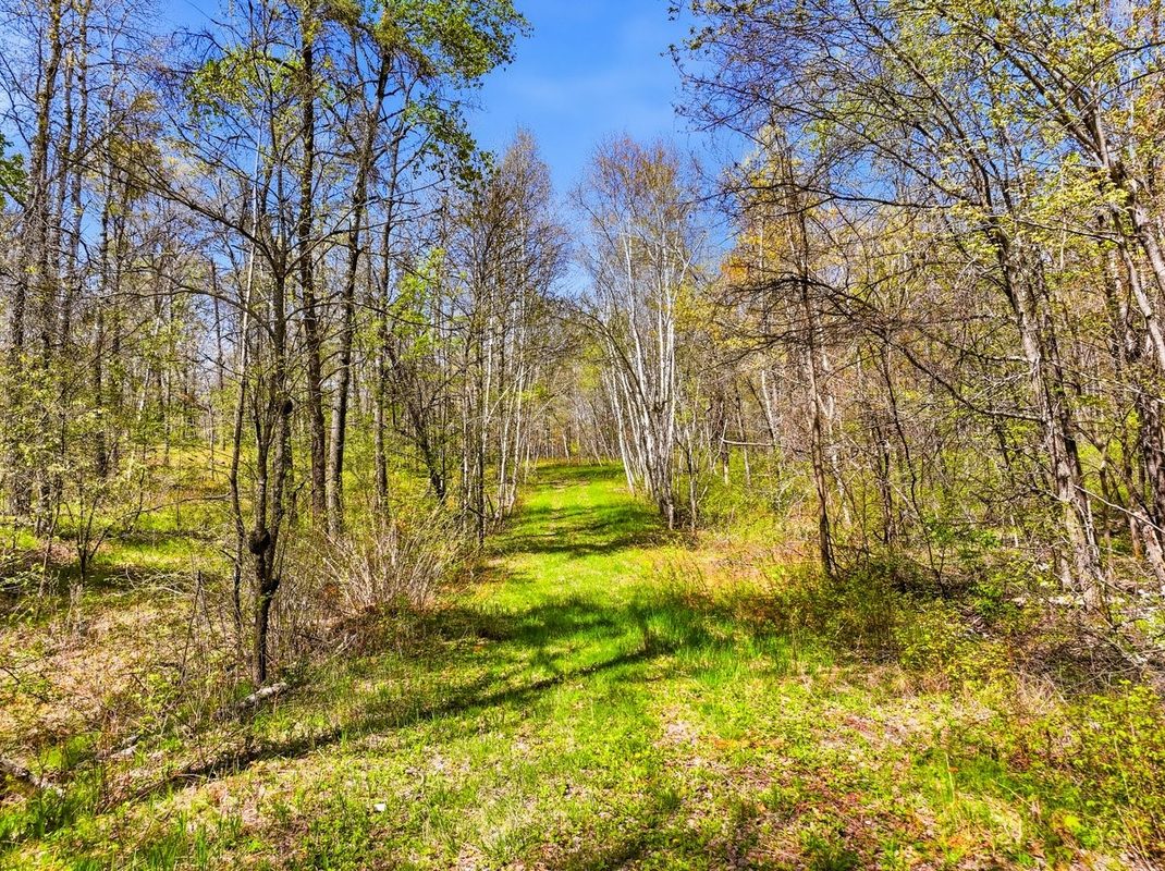 W6474 River Road, Trego WI 54888 - Land house for sale - MLS #1601245 - image8