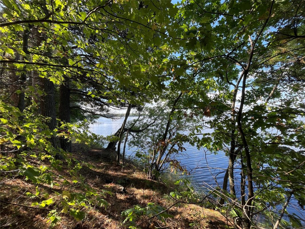 6073 Elsie Road, Stone Lake WI 54876 - Land house for sale - MLS #1602616 - image26