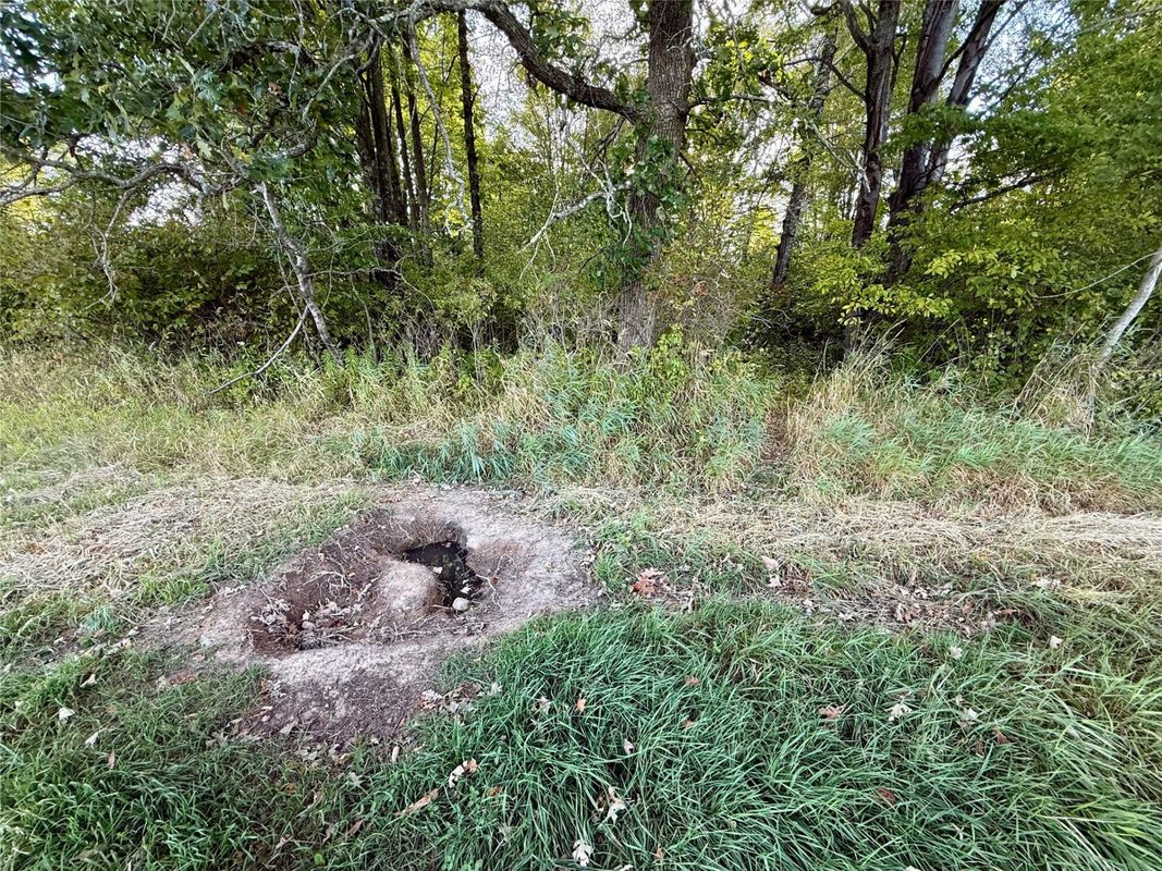 XX County Rd N, Kennan WI 54537 - Land house for sale - MLS #1605049 - image8
