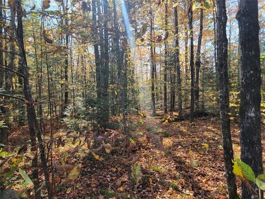 3789W Indian Way, Loretta, WI