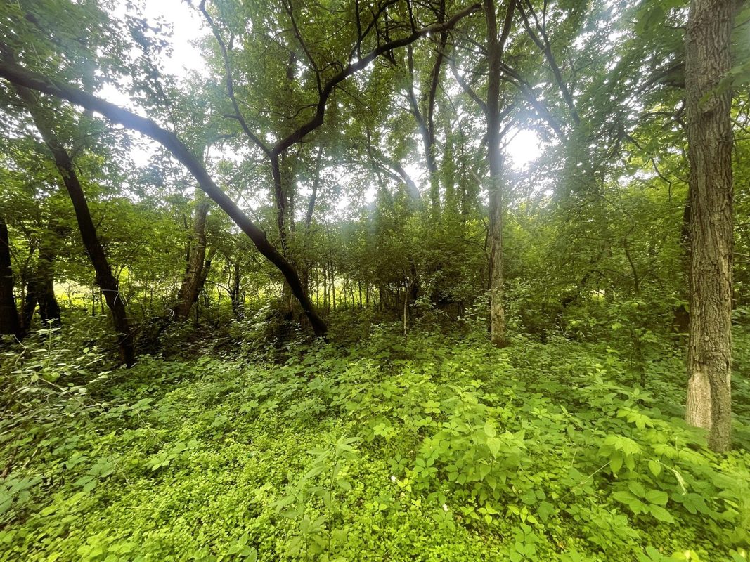 4715 Olson Drive, Eau Claire WI 54703 - Residential house for sale - MLS #1602171 - image19