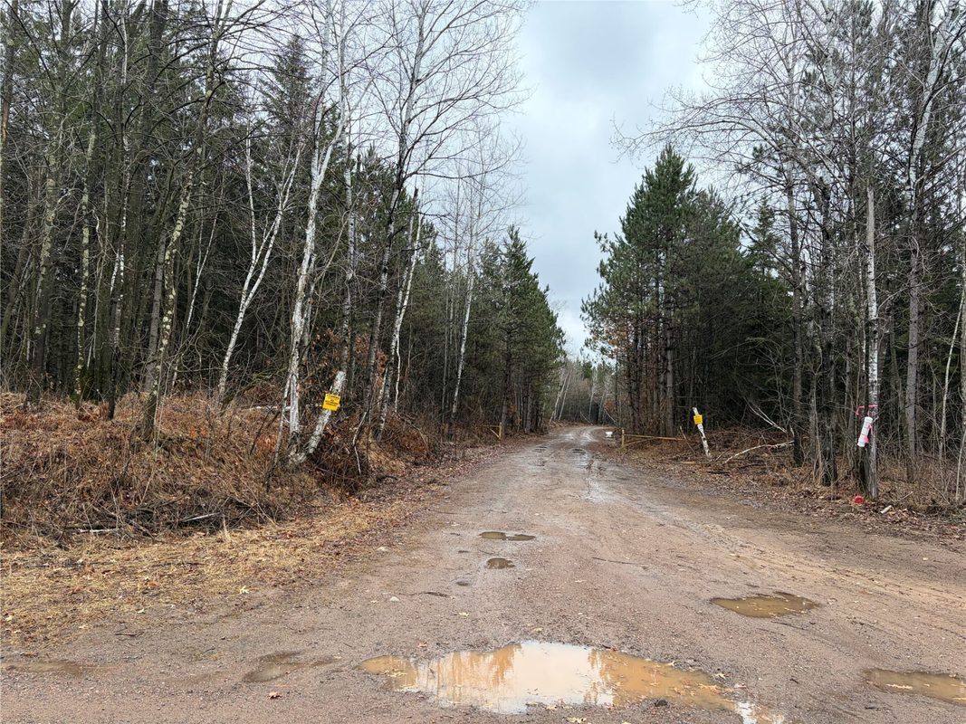 ON Sheep Camp Road Ladysmith WI 54848 — photo 6