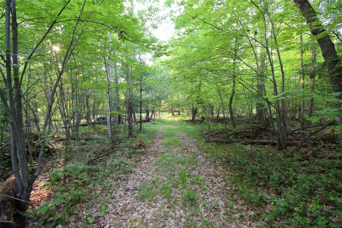 7230 County Road U, Danbury WI 54830 - Land house for sale - MLS #1602895 - image22