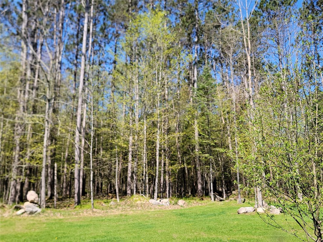 9159N Chippewa Pines Way, Winter WI 54896 - Residential house for sale - MLS #1601413 - image44