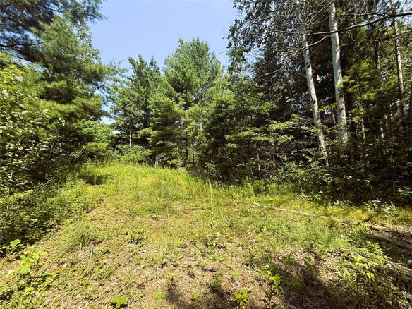 N3720 State Highway 40, Bruce WI 54819 - Land house for sale - MLS #1603658 - image1