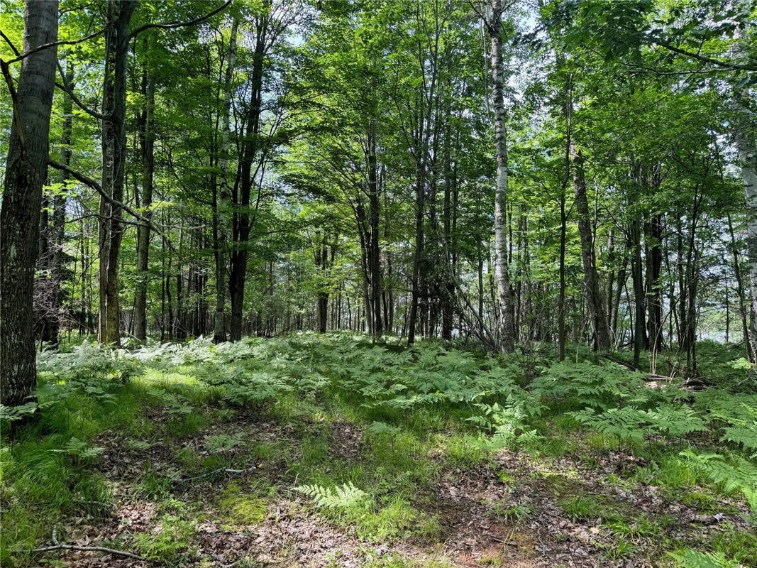 11149 Merganser Lane, Hayward WI 54843 - Land house for sale - MLS #1604672 - image40