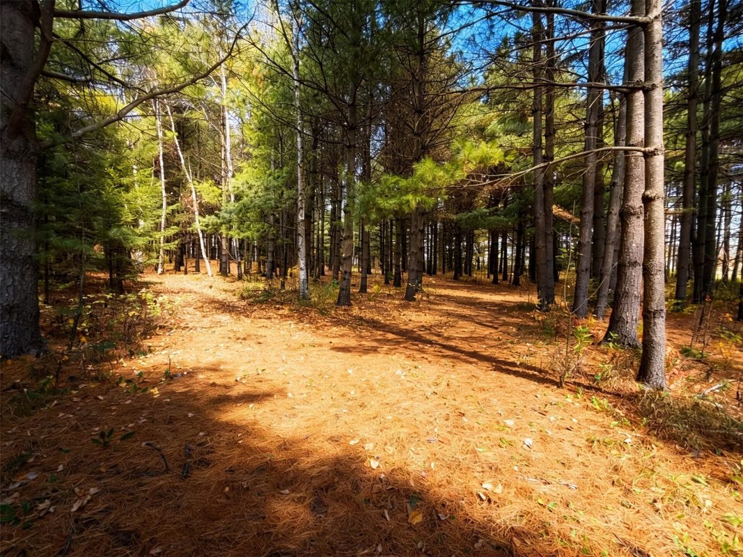 789 29 1/2 Avenue, Barronett WI 54813 - Land house for sale - MLS #1606193 - image7