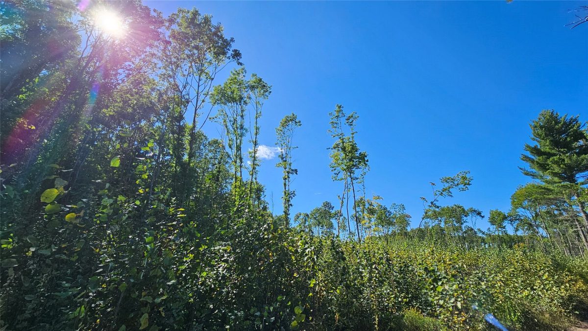 1-7 Larson Road, Hayward WI 54843 - Land house for sale - MLS #1605167 - image20