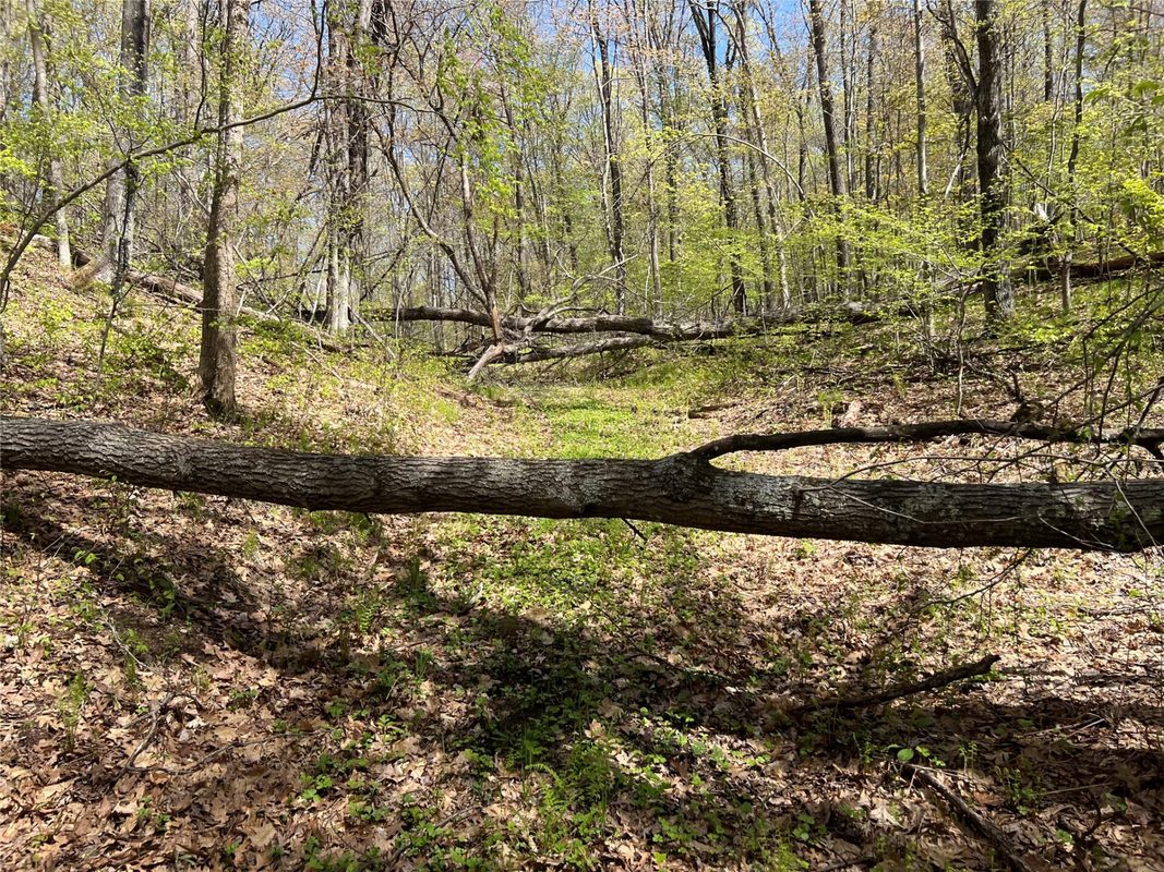 W6474 River Road, Trego WI 54888 - Land house for sale - MLS #1601245 - image11