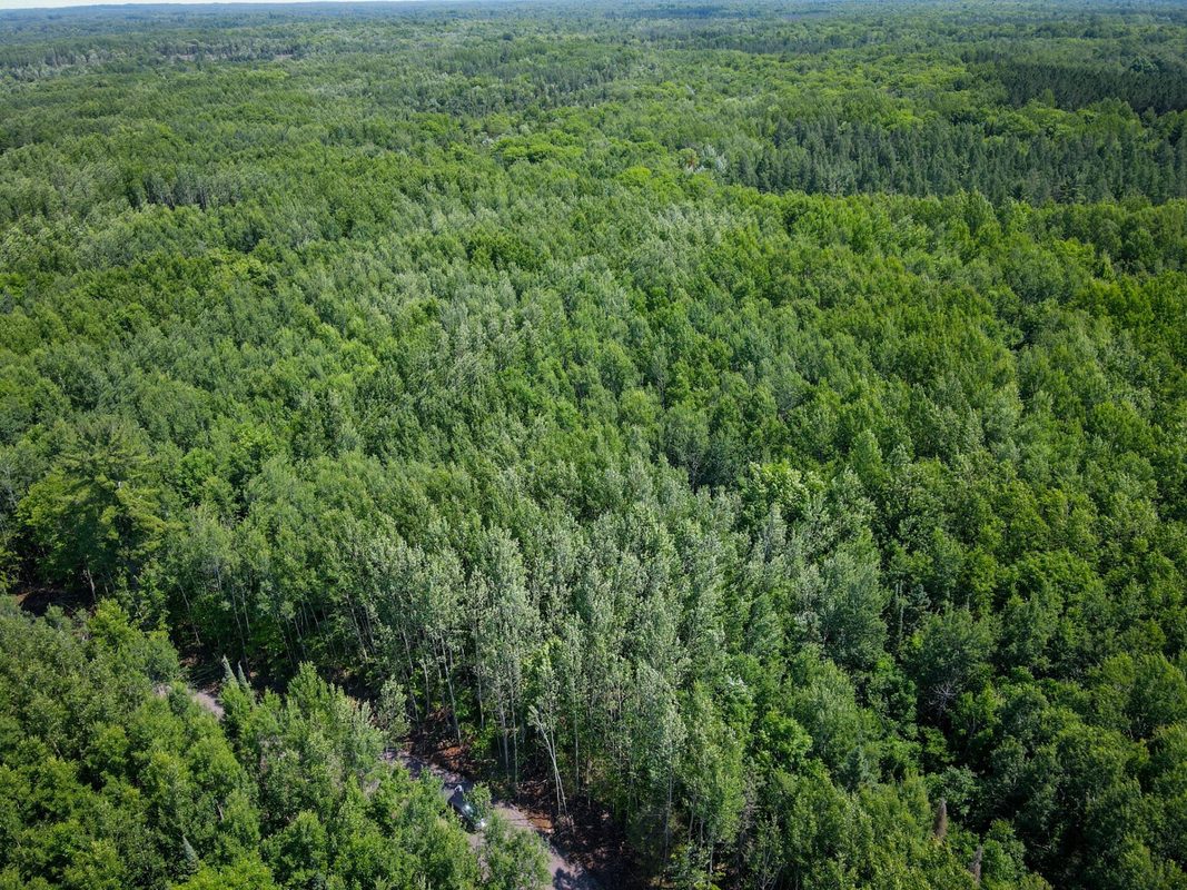 Parcel 6 County Road A, Solon Springs WI 54873 - Land house for sale - MLS #1602905 - image13