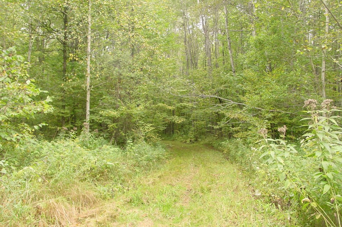 N5391 Hwy. 73, Ingram WI 54526 - Residential house for sale - MLS #1604886 - image23