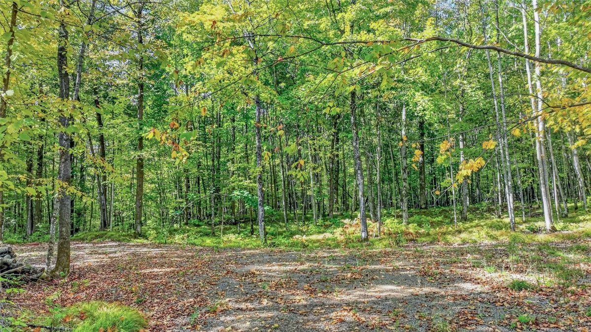 8087N Universal Drive, Winter WI 54896 - Land house for sale - MLS #1605404 - image4