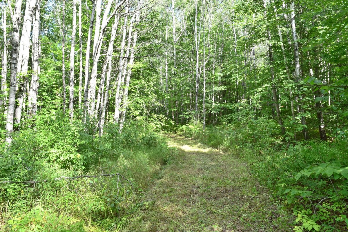 26615 Star Route Road, Bayfield WI 54814 - Land house for sale - MLS #1604800 - image32