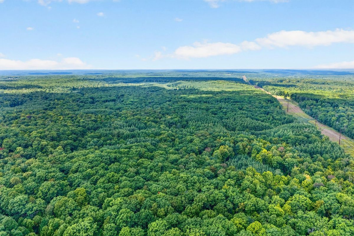 Block 2 Comet Road, Exeland WI 54835 - Land house for sale - MLS #1597542 - image16